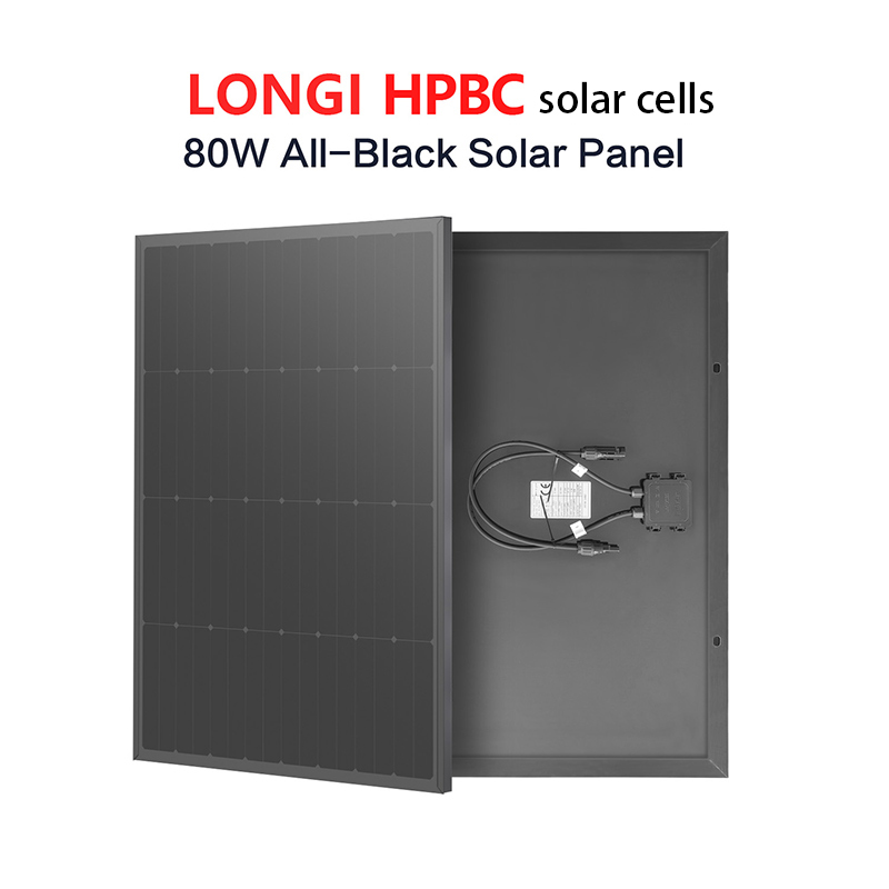 80W solar panel supplier.jpg